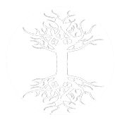 Galería De Arte Natural