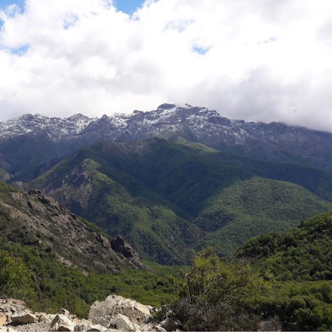Reserva Nacional Los Bellotos