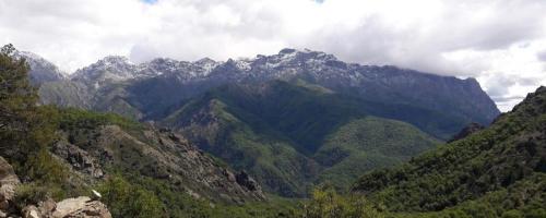 Reserva Nacional Los Bellotos